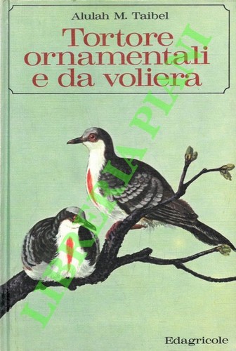 Taibel alulah tortore - alulah,