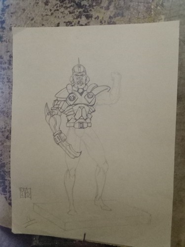 Disegno armatura - disegno,