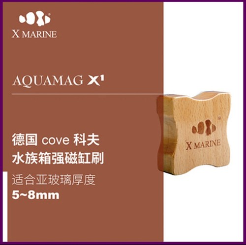 Pulitore magnetico per