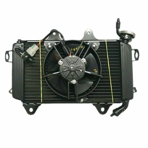 Radiatore completo ventola - radiatore,