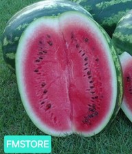 50 SEMI DI ANGURIA CRIMSON