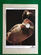 Advertising - (p17),