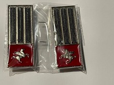 ALAMARI MOSTRINA POLIZIA