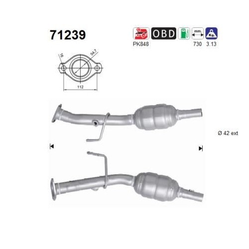 Catalizzatore 71239 - catalizzatore,