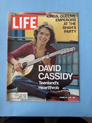 Vintage life magazine issue - vintage,