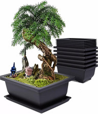 Set Di 6 Vasi per Piante