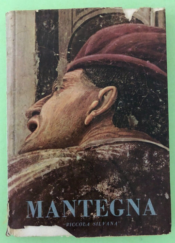 Mantegna piccola silvana - piccola,