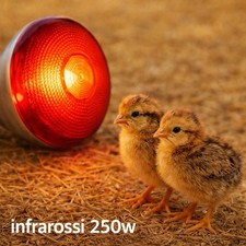 Lampada Infrarossi per