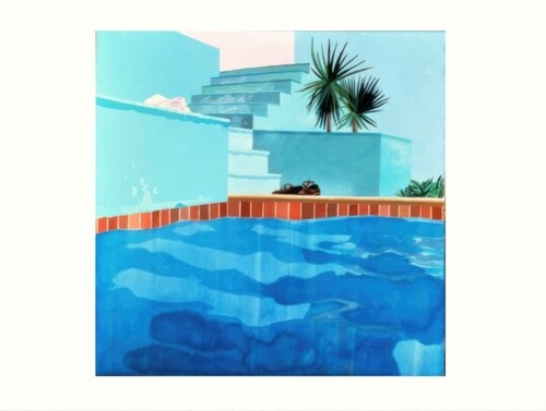 Stampa piscina gradini david - stampa,