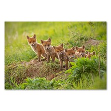 Postereck 3481 poster tela