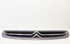 Mascherina anteriore CITROEN Xsara Picasso 1 Serie