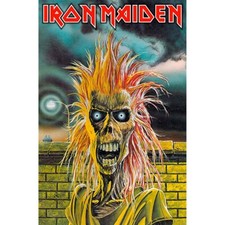 IRON MAIDEN HEAVY METAL -