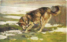 MILITARI - WW1 - 1914-15 Propaganda di guerra Croce Rossa Cane      -mis181