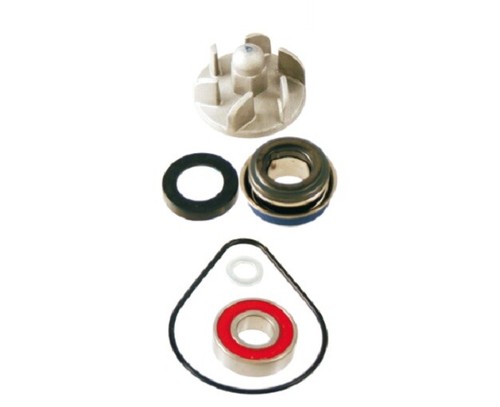 Kit revisione pompa acqua - kit,