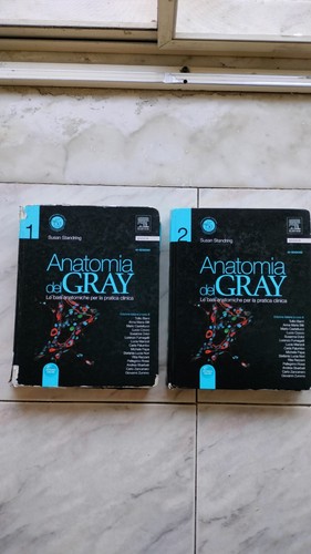 Anatomia del gray - anatomia,