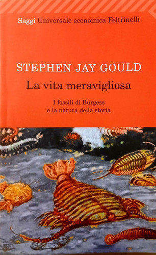 Vita meravigliosa stephen - -,