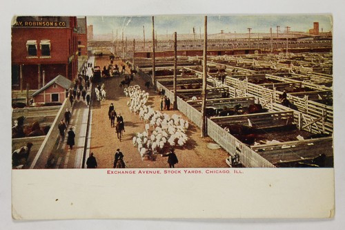 Chicago stock yards exchange - stock,