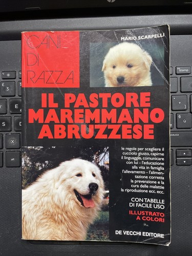 Cani razza pastore - cani,