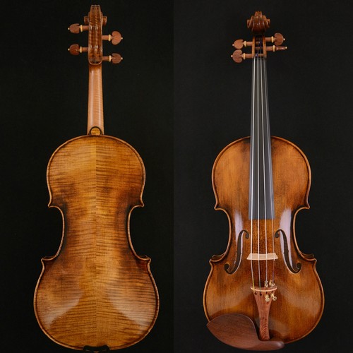 Master violin guarneri violino - master,