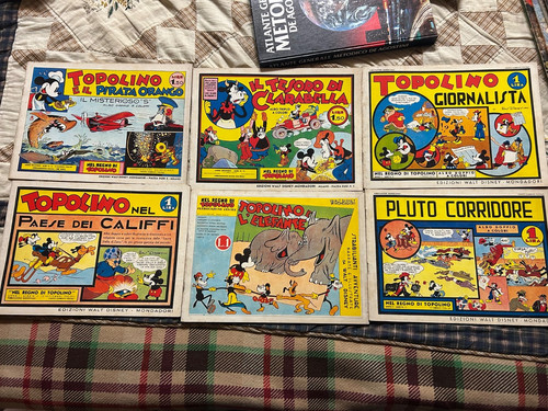 Nel regno topolino 6 - nel,