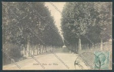 Pavia Mede Lomellina cartolina