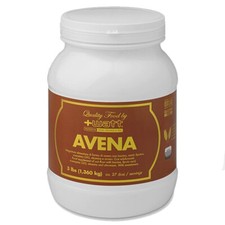 +Watt Farina d'Avena 3 lbs 1360 gr Vit. Q10 Taurina Gusto Nocciola