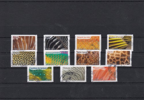 Francia 2024 animali colori - francia,