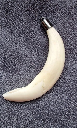 Ciondolo dente - ciondolo,