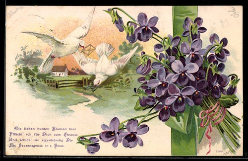Cartolina rilievo colombe - in,