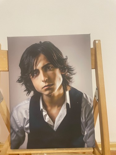 Ritratto aidan gallagher - ritratto,
