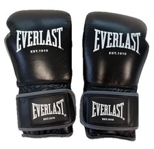 Guantoni boxe everlast - guantoni,