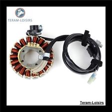 Stator Allumage pour Yamaha WR