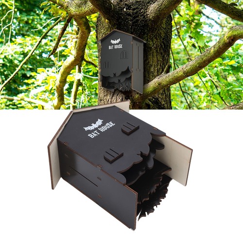 Bat house - bat, in