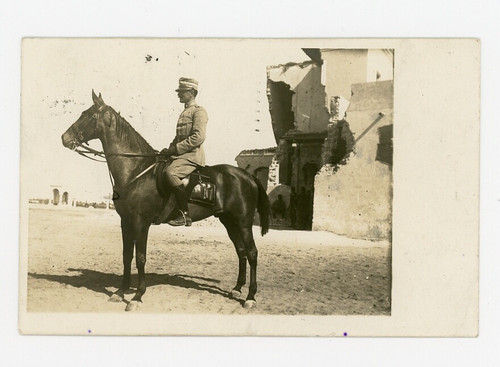 Regio esercito cavallo - regio,