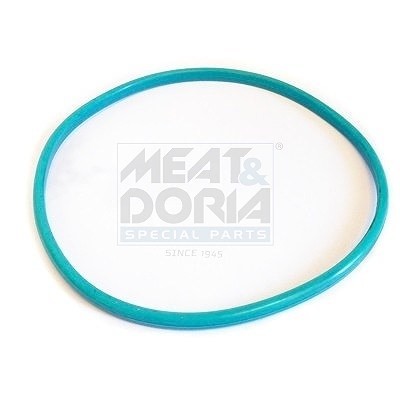 Guarnizione meat doria - guarnizione,