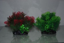 Acquario Rosso & Verde & Verde