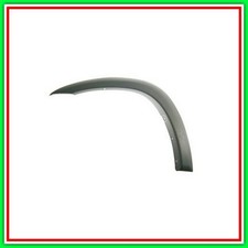 Parafanghino Anteriore Sinistro Toyota Rav 4-(Anno 2000-2003)