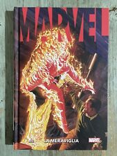 La Meraviglia Marvel Alex Ross PANINI COMICS MARVEL Esaurito Raro 2023 Ita
