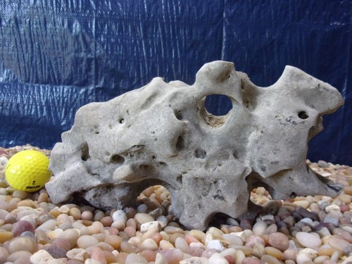 Texas holey rock - texas/tn,