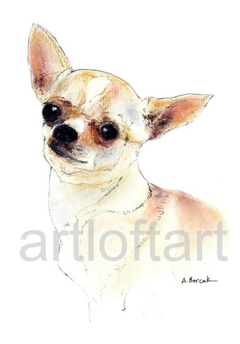Chihuahua dog aceo - chihuahua, #5