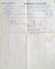 § CARTA INTESTATA GAETANO CECCOTTI, VENDITA DI PIANTE E FIORI - ROMA 1925