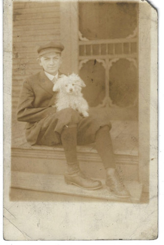 Rppc bichon frise miniatura - rppc,