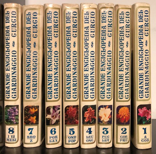 Curcio editore - a.a.v.v.,