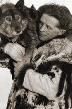 Togo Siberian Sled Dog 4x6