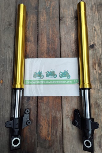 Forcelle fork suspension - fork, gabel
