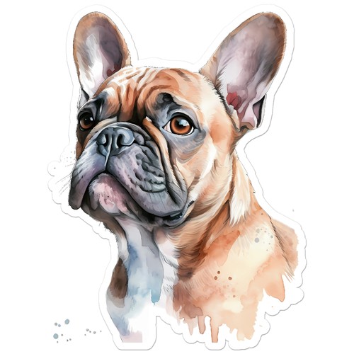 Bulldog francese - ,