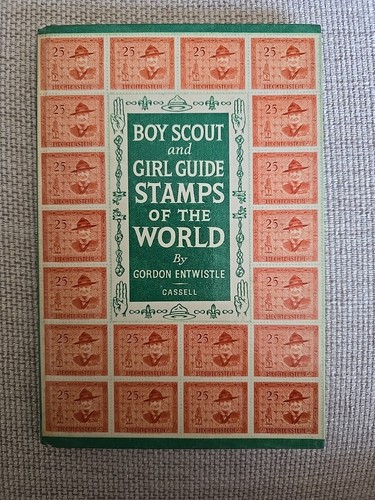Boy scout and girl guide - boy,