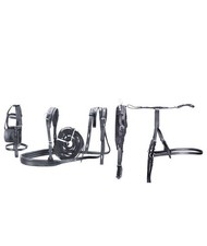 Finimento completo da calesse