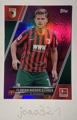 Florian niederlechner 125 - florian,