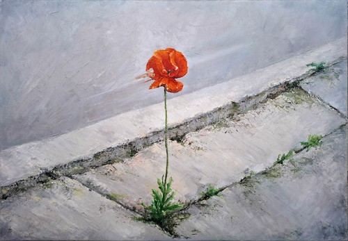 Dipinto olio tela senza - a, su